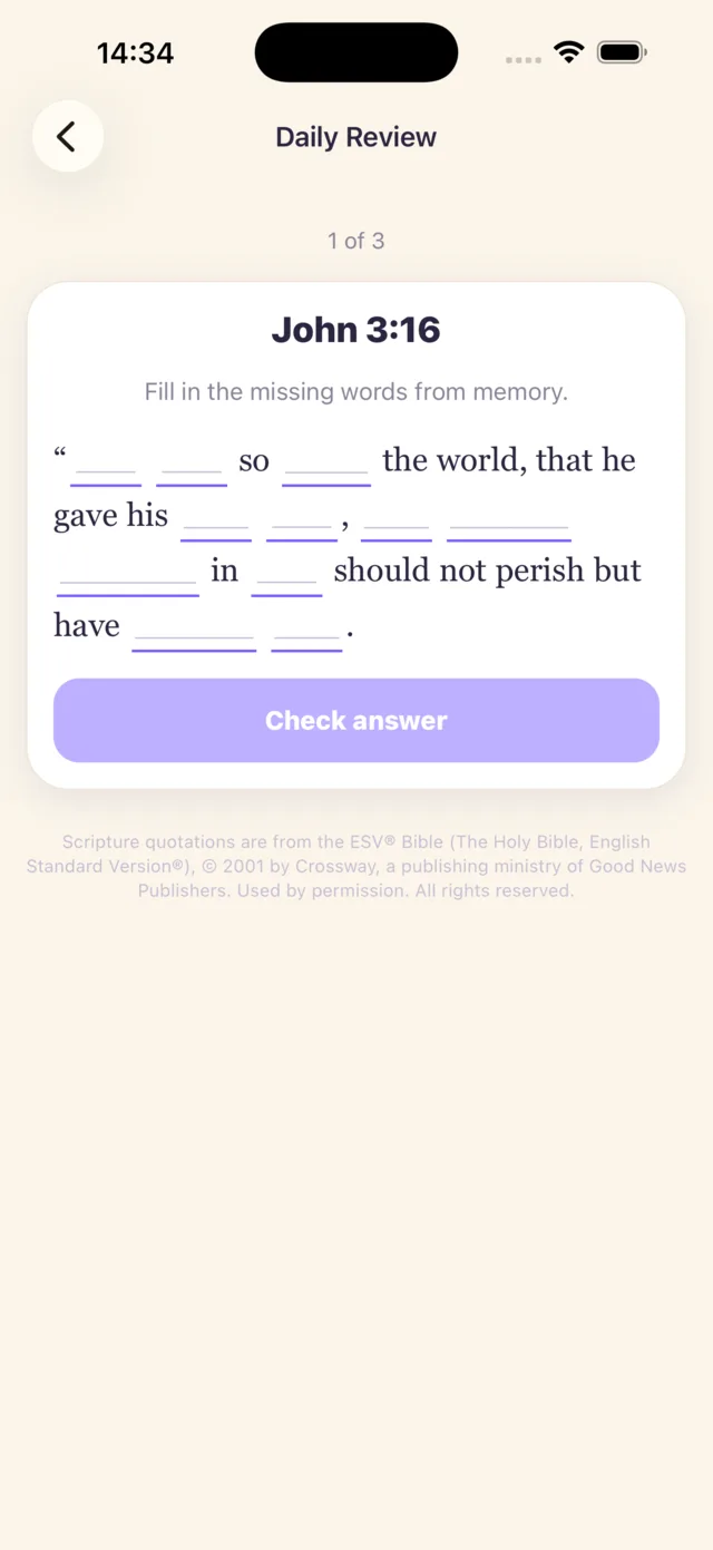 Daily review